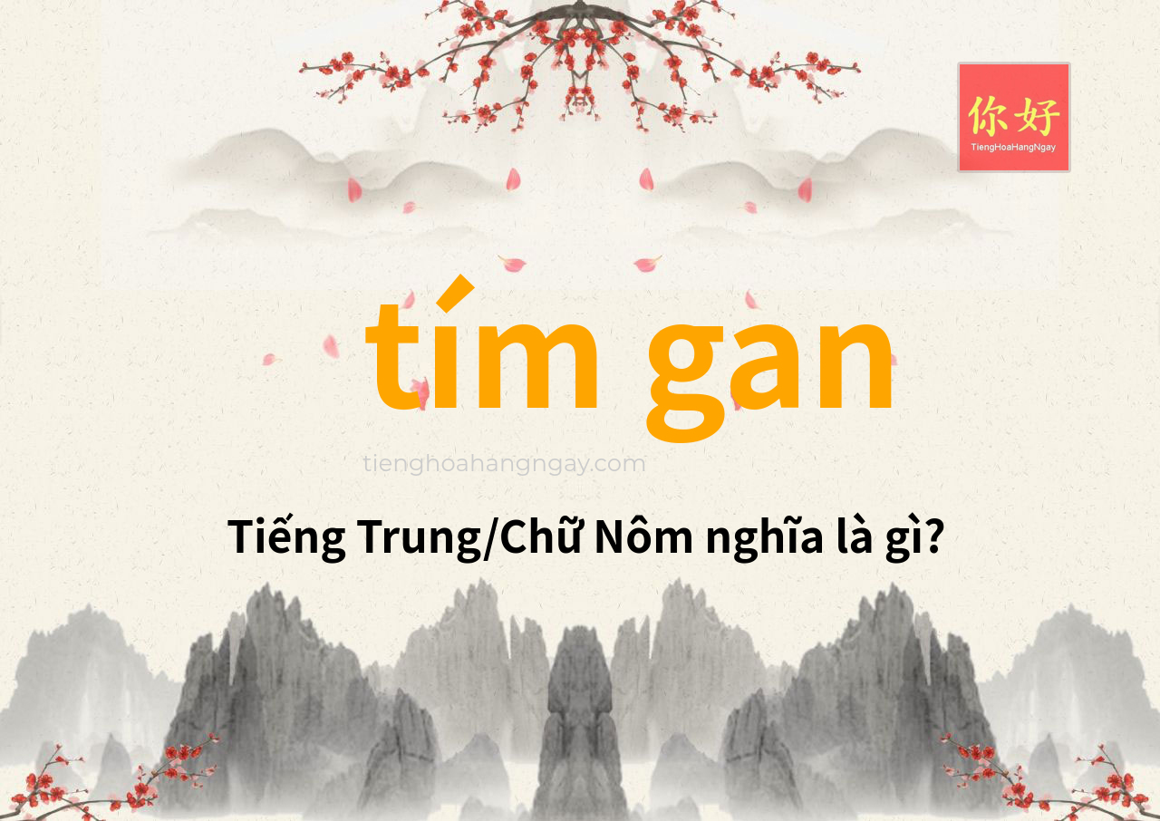 tím gan tiếng Trung là gì?